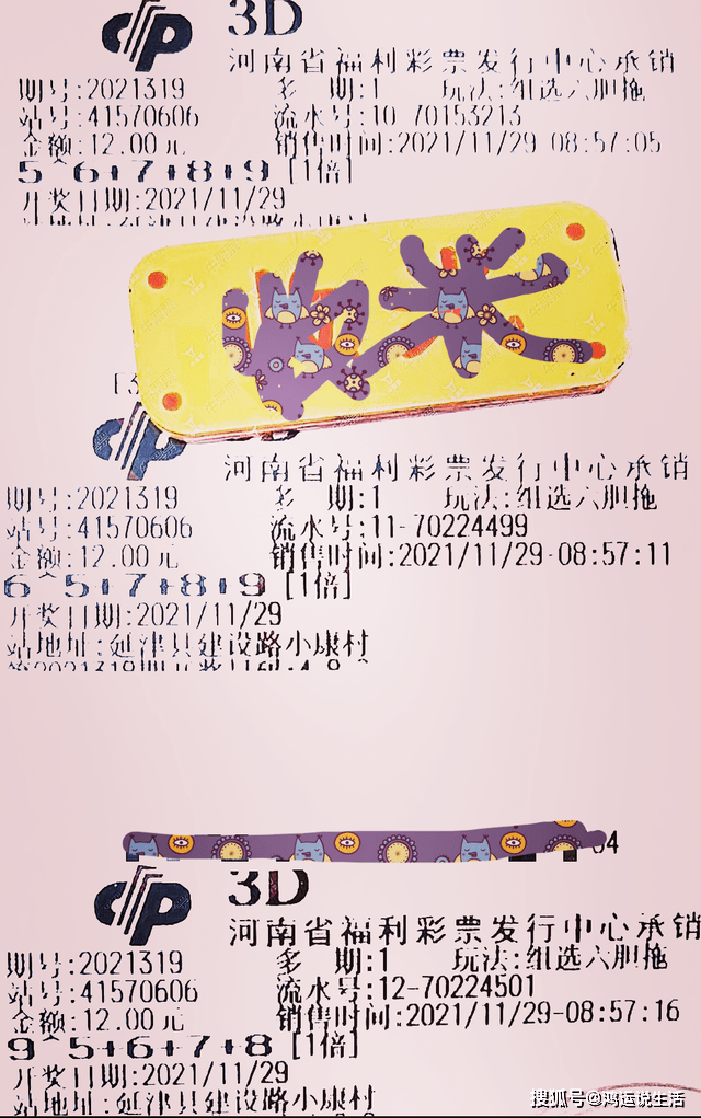 探索与深度解析，3D独胆守候模型及其应用展望